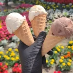 lodziarnia orzysz lody orzysz gałkowe włoskie granita shake bubble tea kawa mrożona deser